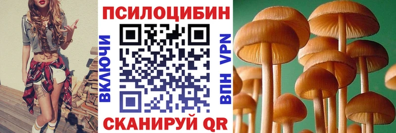 Галлюциногенные грибы Psilocybe  Лагань 